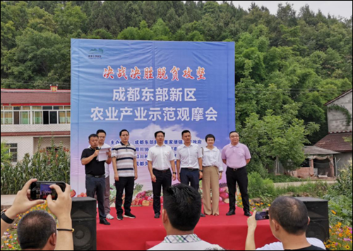 5f1fd74776417 5f1fd74776417